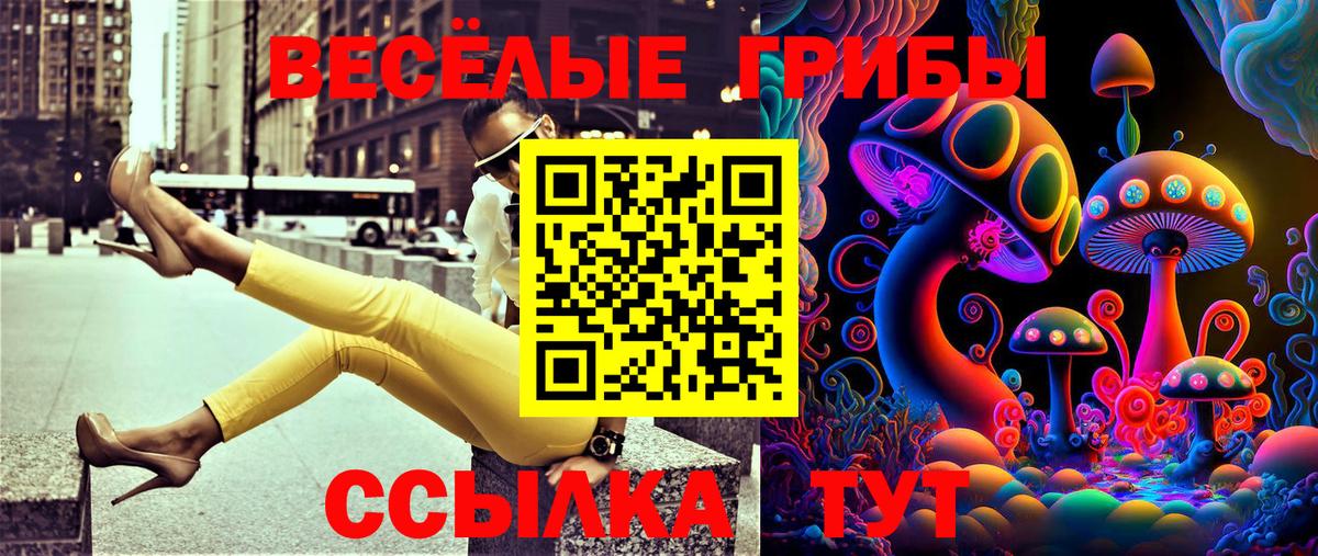 купить закладку  Вход с VPN  Барабинск  Псилоцибиновые грибы мицелий 